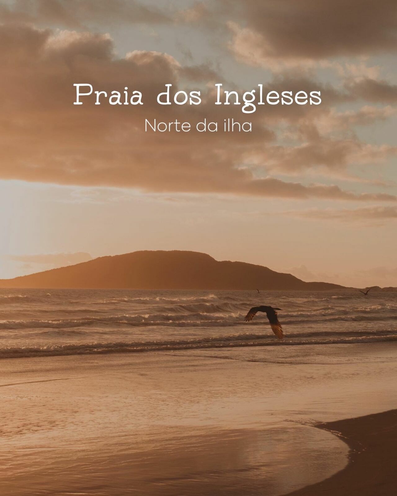 Foto 6 Praias em Florianópolis para ver o Nascer do Sol - Imagem 2