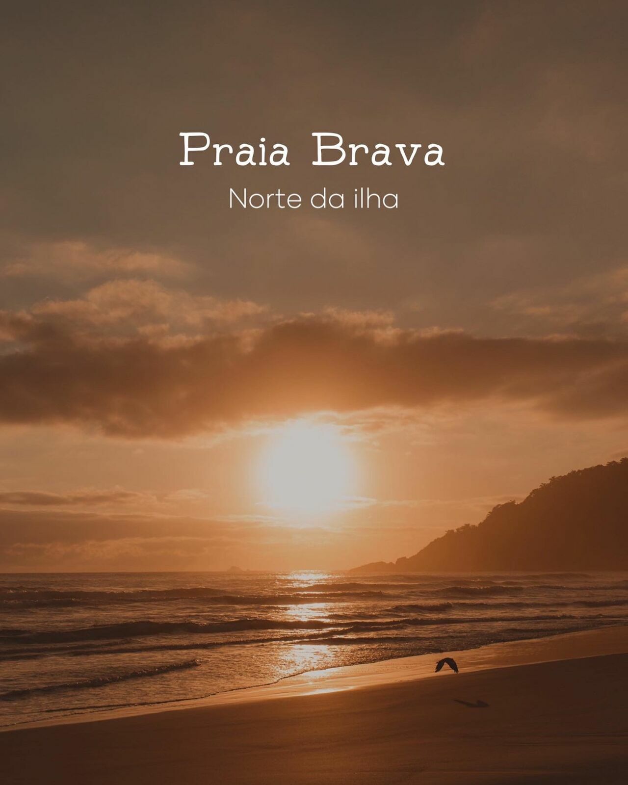 Foto 6 Praias em Florianópolis para ver o Nascer do Sol - Imagem 6